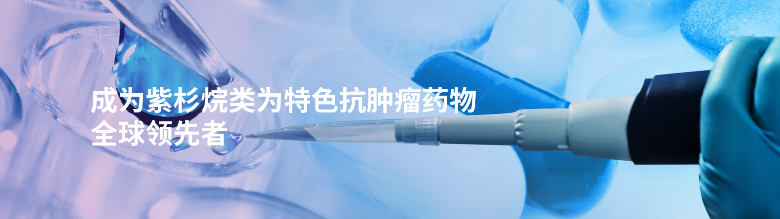 w66国际杉大健康